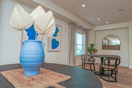 Avanti-Legacy-South-Bluff 11